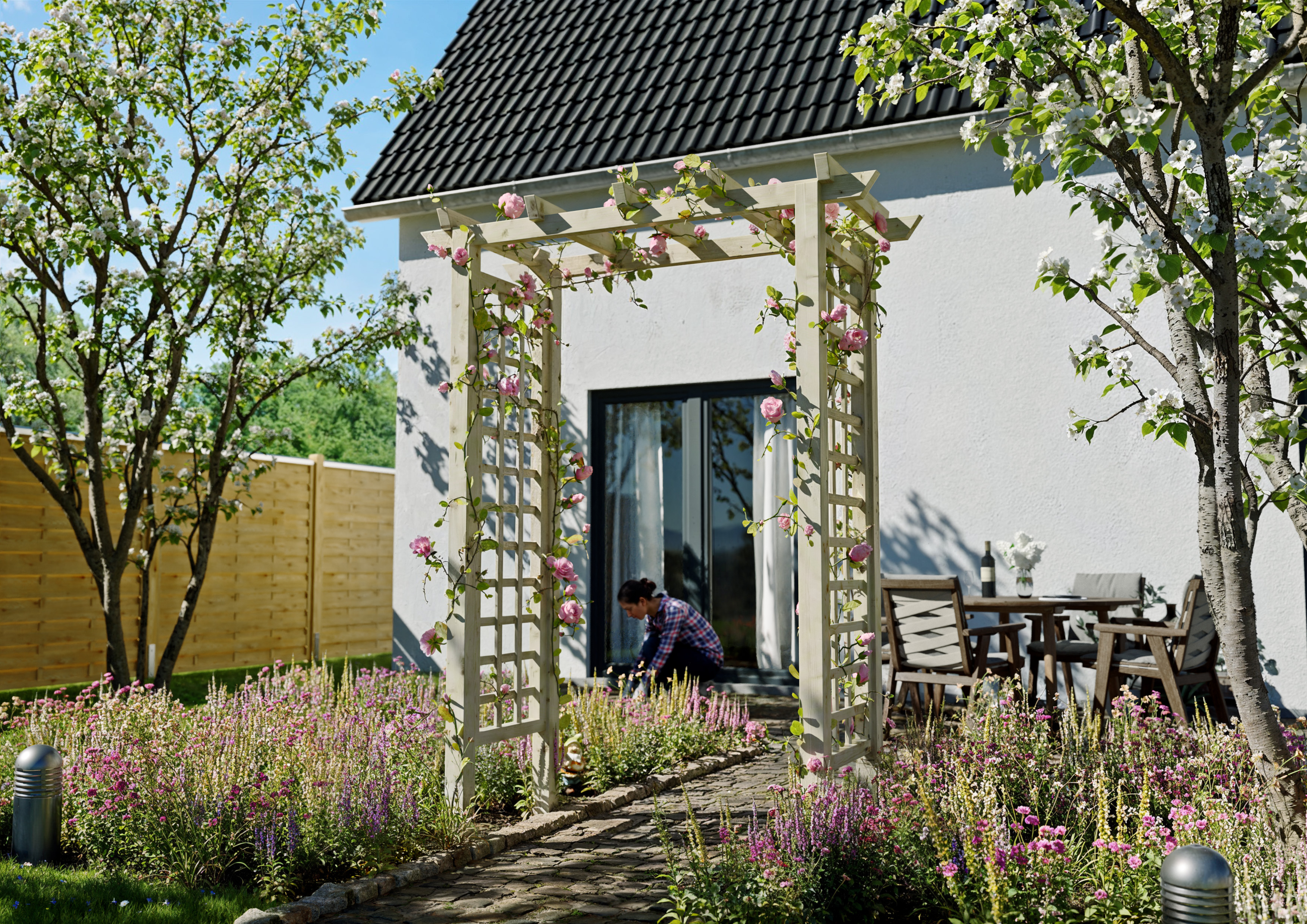 z. B. CLEMATIS Pergola